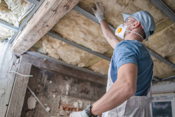 Best Insulation Installation Services in Poinciana, FL