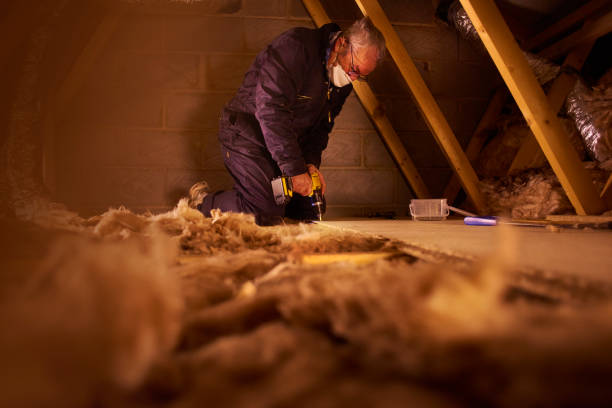 Best Residential Insulation in Poinciana, FL
